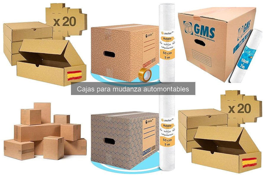 Alternativas a Cajas para Mudanza Automontables