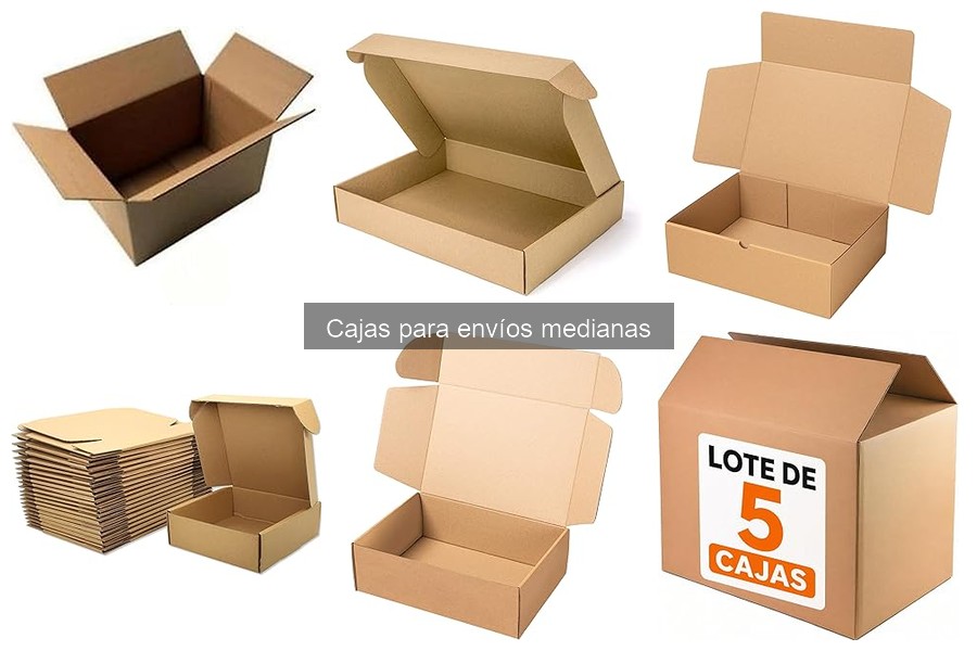 Alternativas a las Cajas para Envíos Medianas: Opciones Útiles