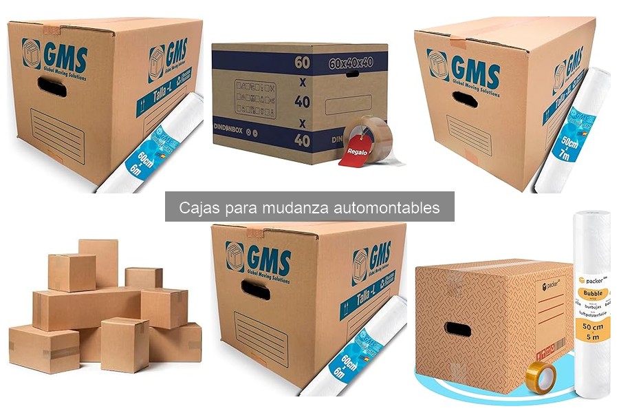 Cajas para Mudanza Automontables: Ventajas y Diseño