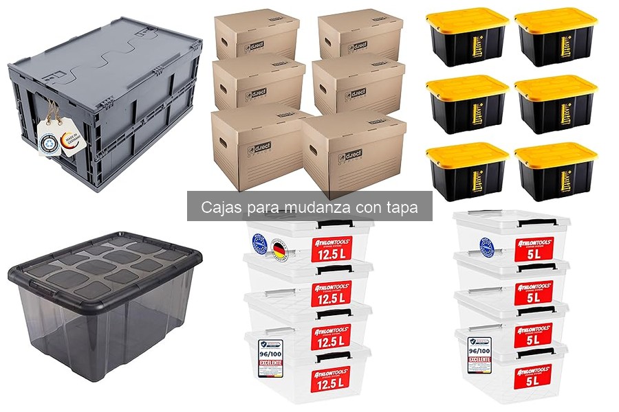 Cajas para mudanza con tapa: Mejores precios y opciones de compra