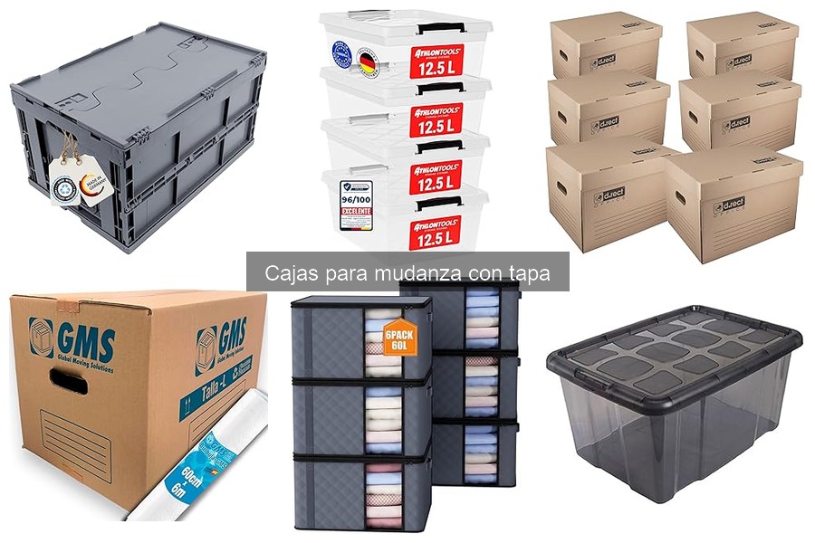 Cajas para mudanza con tapa vs contenedores rígidos: ¿Cuál elegir?