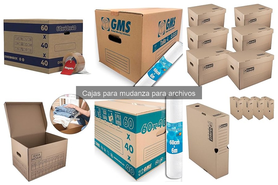 Cajas para mudanza para archivos: ¿Qué son y sus características?
