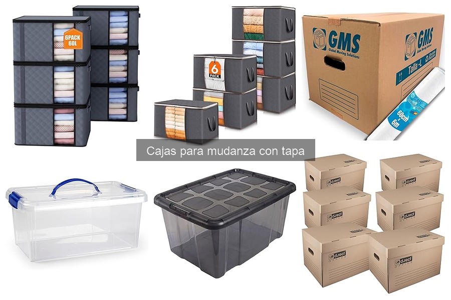 Capacidades de carga de cajas para mudanza con tapa