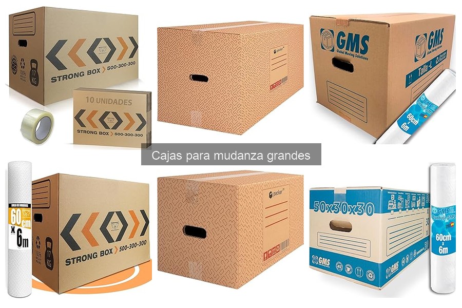 Características de las Cajas Grandes para Mudanza