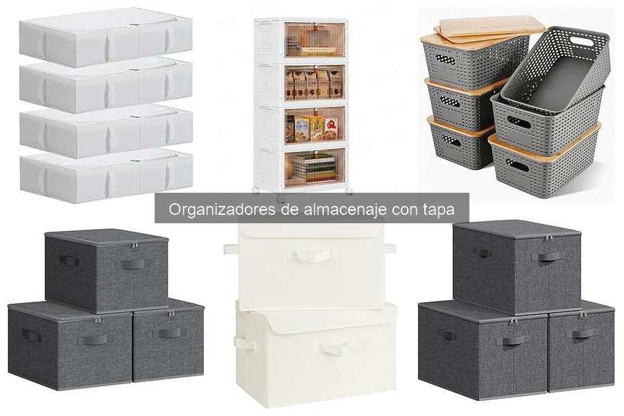 Cómo elegir el mejor organizador de almacenaje con tapa