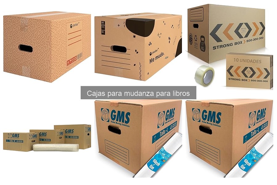 Cómo Organizar Libros en Cajas para Mudanza Eficazmente
