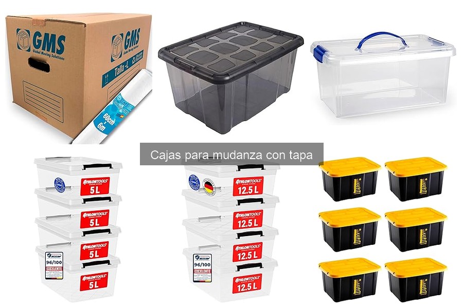 Cómo utilizar cajas para mudanza con tapa de forma eficiente