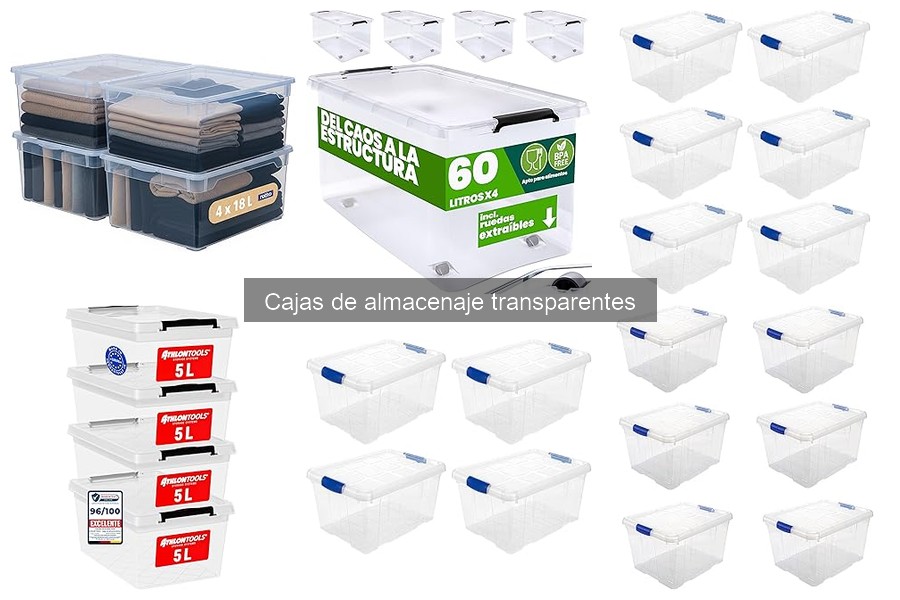 Comparativa: Cajas de Almacenaje Transparentes vs. Opacas