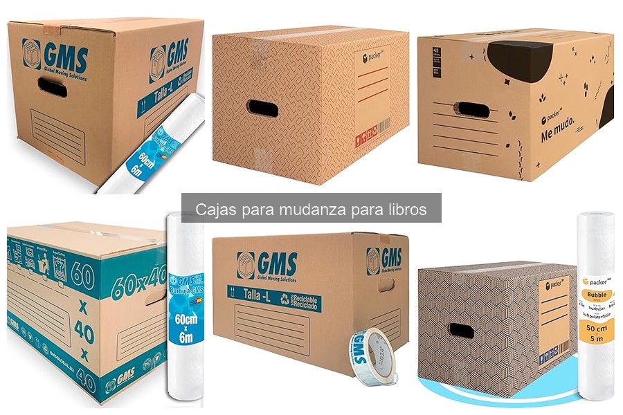Comparativa: Cajas de Cartón vs. Cajas de Plástico para Libros