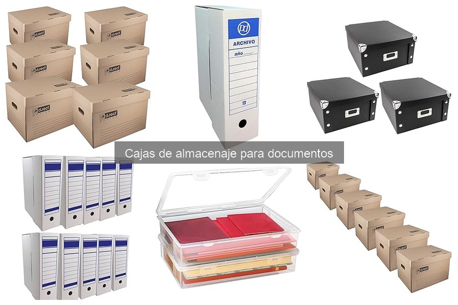 Comparativa: Cajas de Cartón vs. Cajas Plásticas para Documentos
