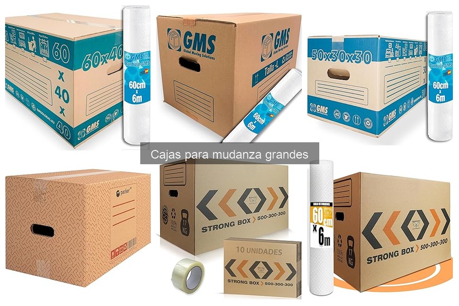 Comparativa: Cajas de Cartón Vs Cajas Plásticas para Mudanzas