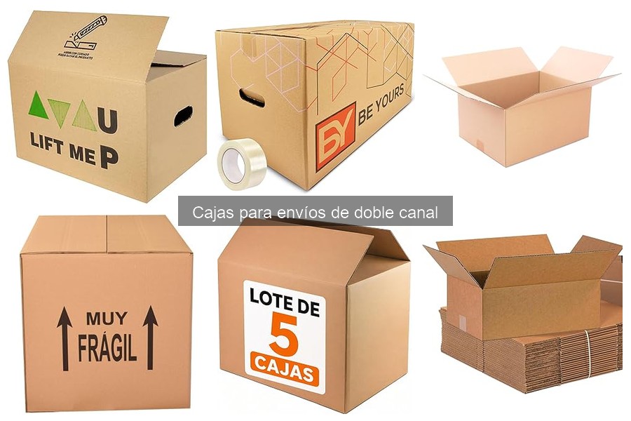 Comparativa: Cajas de Doble Canal vs. Simple Canal