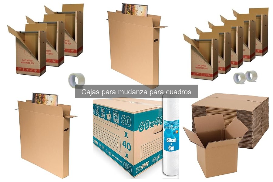 Comparativa de las Mejores Cajas para Mudanza de Cuadros