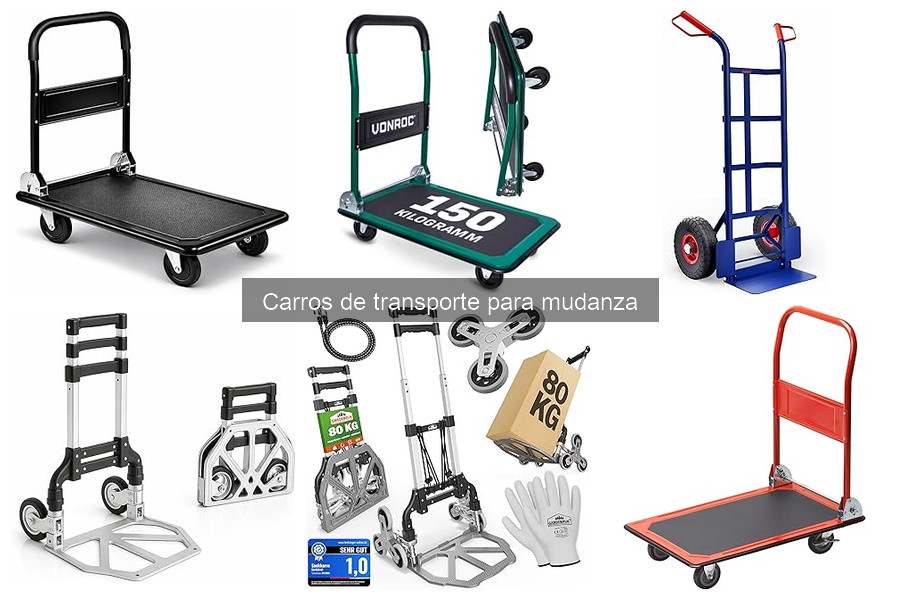 Cuidados y Mantenimiento de Carros de Transporte para Mudanza