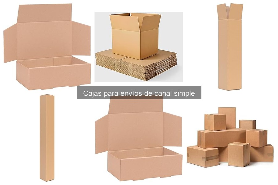 Dónde comprar cajas para envíos de canal simple al mejor precio