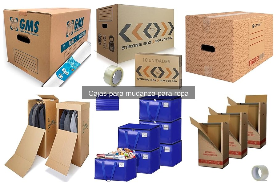 Dónde comprar cajas para mudanza para ropa: tiendas y precios