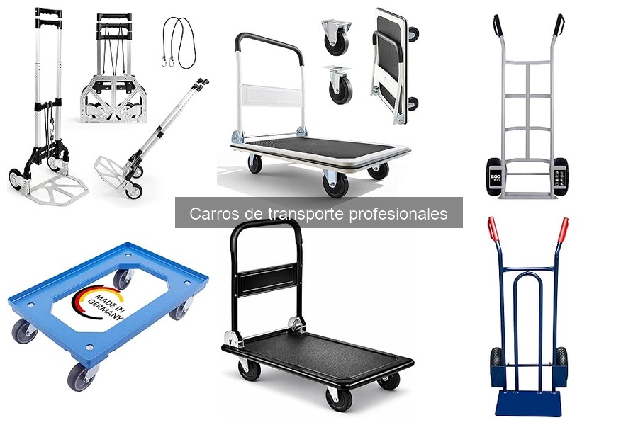 Factores Clave para Comprar un Carro de Transporte Profesional