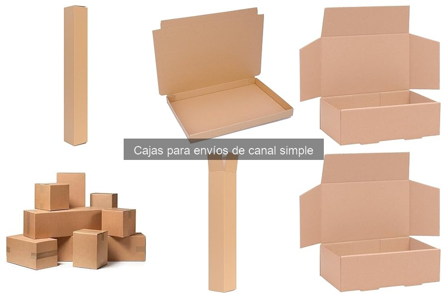 Guía para Elegir Cajas de Envío de Canal Simple