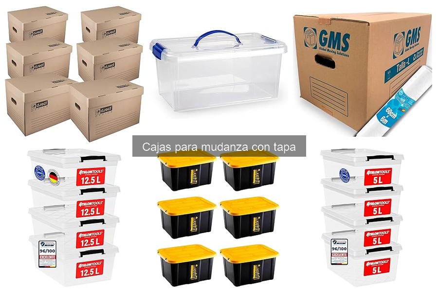 Guía para Elegir Cajas para Mudanza con Tapa