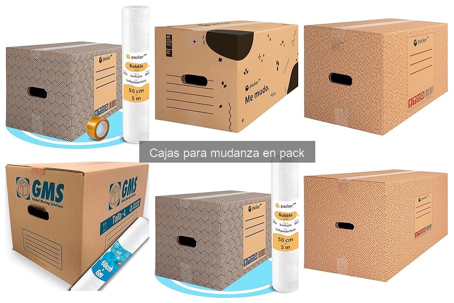 Guía para seleccionar las mejores cajas para mudanza