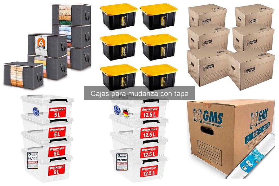 Mantenimiento y Almacenamiento de Cajas para Mudanza con Tapa