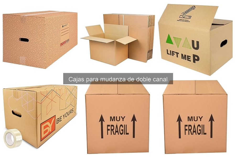 Mejores cajas de mudanza de doble canal para empresas