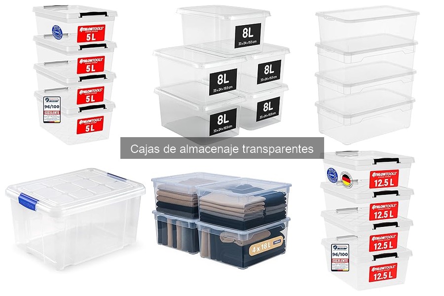 Mejores marcas de cajas de almacenaje transparentes