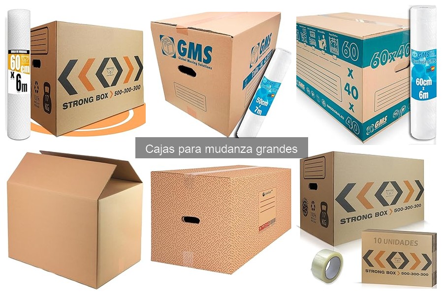 Mejores marcas de cajas grandes para mudanza