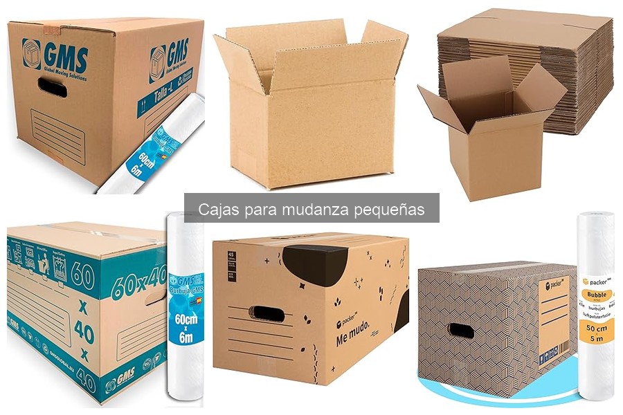 Mejores marcas de cajas para mudanza pequeñas en 2023