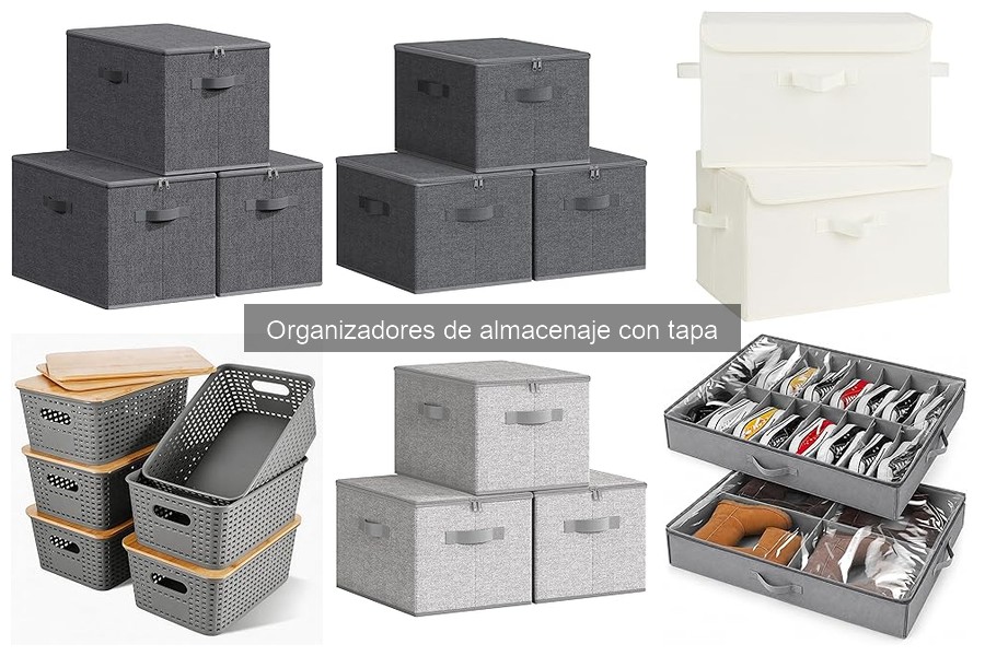 Mejores organizadores de almacenaje con tapa para hogares pequeños
