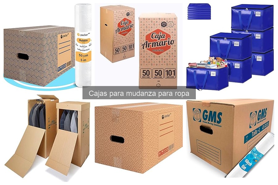 Opciones ecológicas de cajas para mudanza de ropa