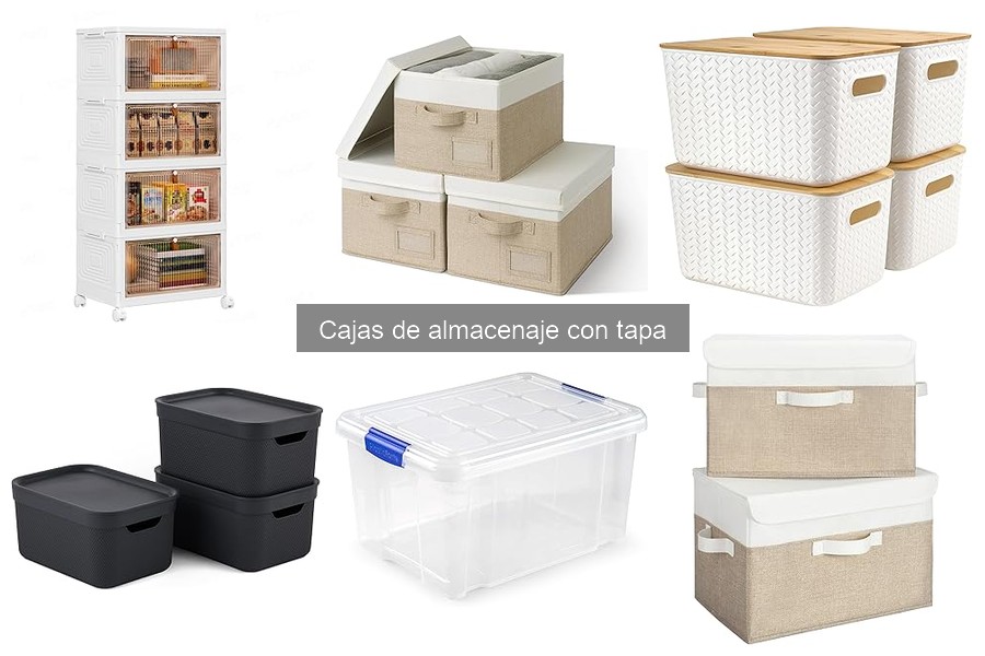 Organiza Tu Hogar con Cajas de Almacenaje con Tapa