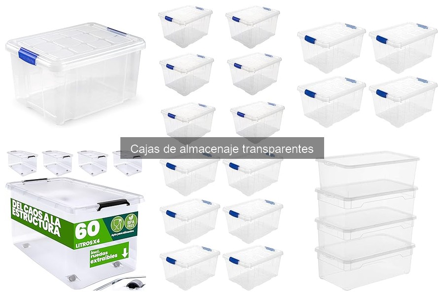 Problemas comunes al usar cajas de almacenaje transparentes