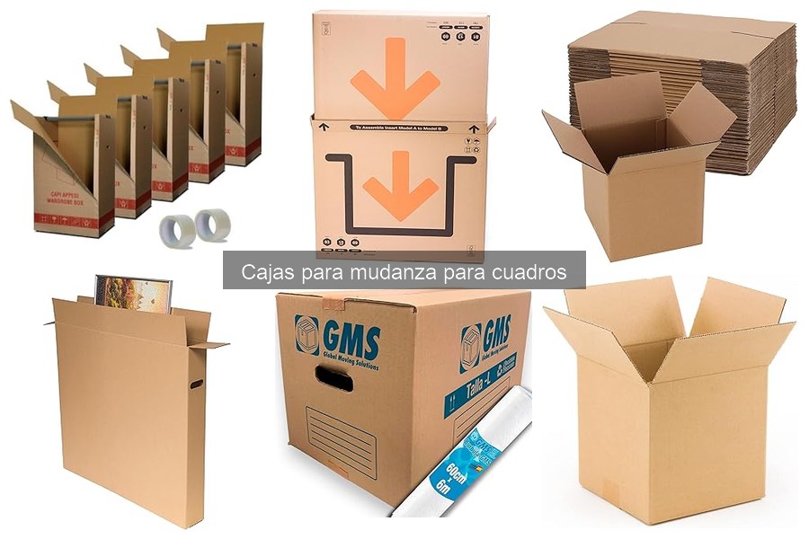 ¿Qué son las cajas para mudanza de cuadros? Características clave