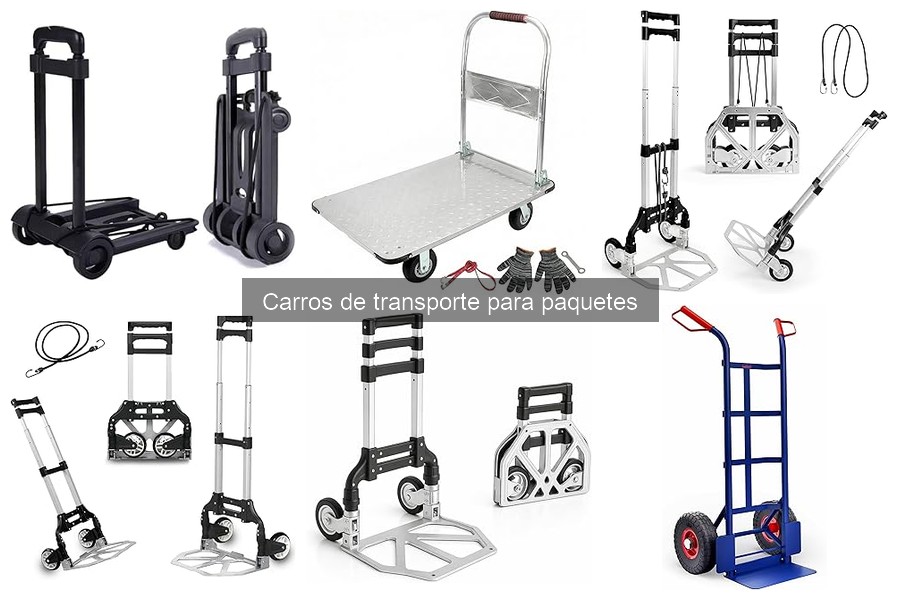 Técnicas de Uso de Carros de Transporte para Paquetes
