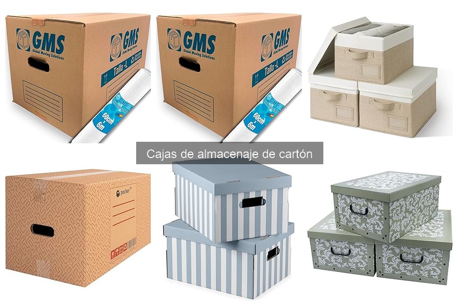 Tipos de Cajas de Almacenaje de Cartón: Guía Completa