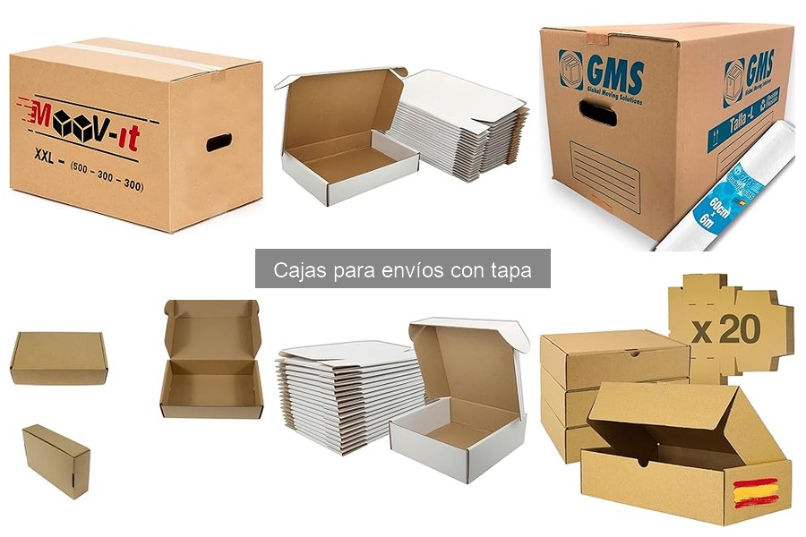 Tipos de Cajas para Envíos con Tapa: Materiales y Tamaños