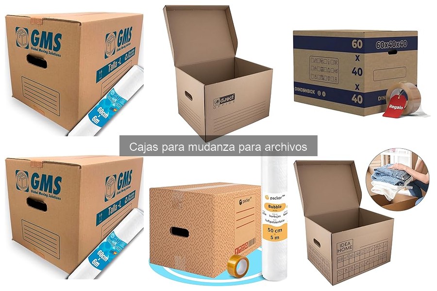 Tipos de cajas para mudanza de archivos: descubre las mejores opciones