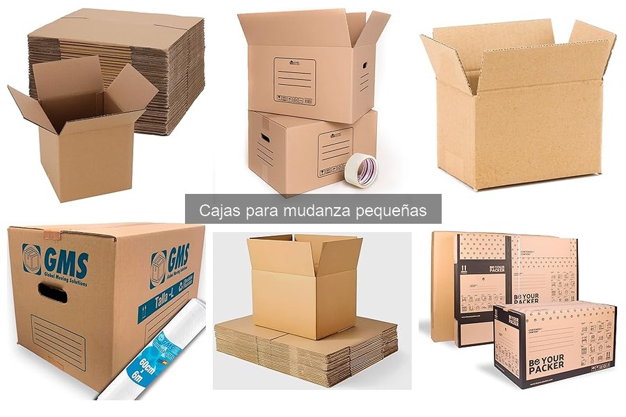 Tipos de Cajas para Mudanza Pequeñas: Guía Completa