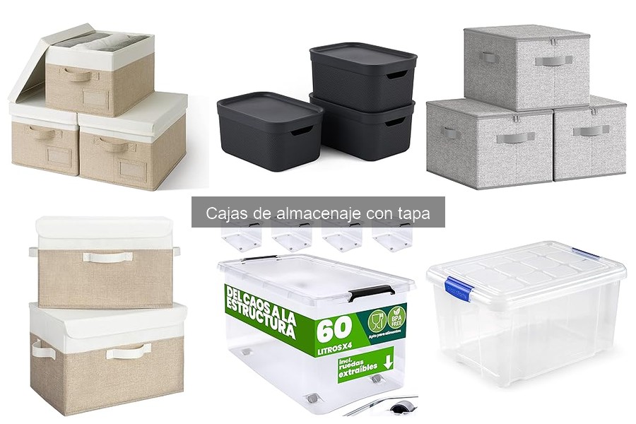 Ventajas de Cajas de Almacenaje con Tapa para Organizar