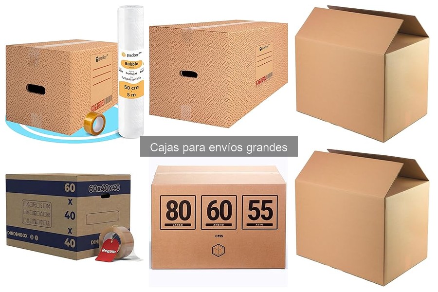 Ventajas de Usar Cajas para Envíos Grandes: Ahorra y Protege
