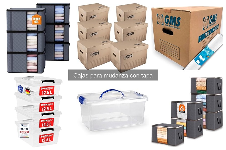 Ventajas de usar cajas para mudanza con tapa
