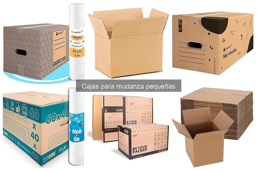 Ventajas de Usar Cajas Pequeñas para Mudanza