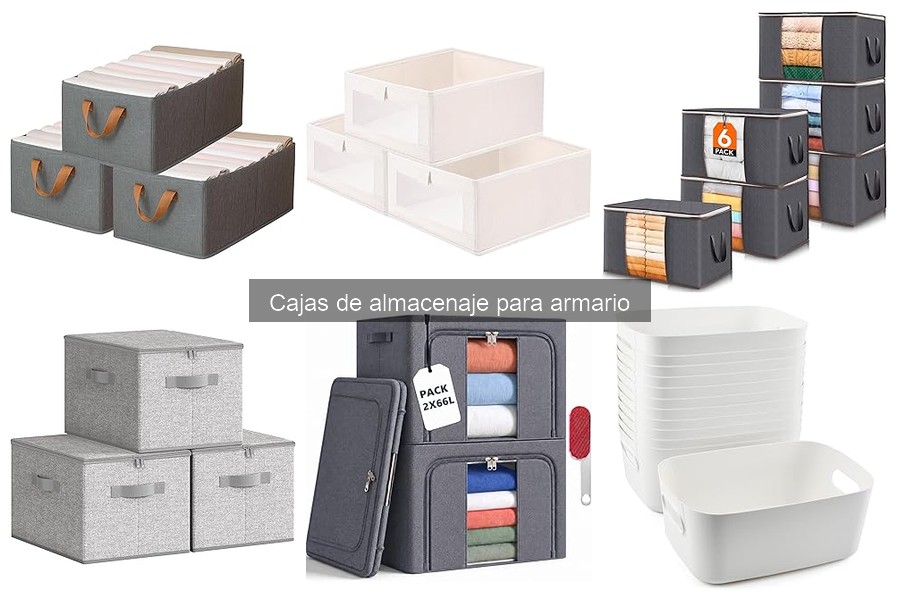 Ventajas y desventajas de cajas de almacenaje para armario