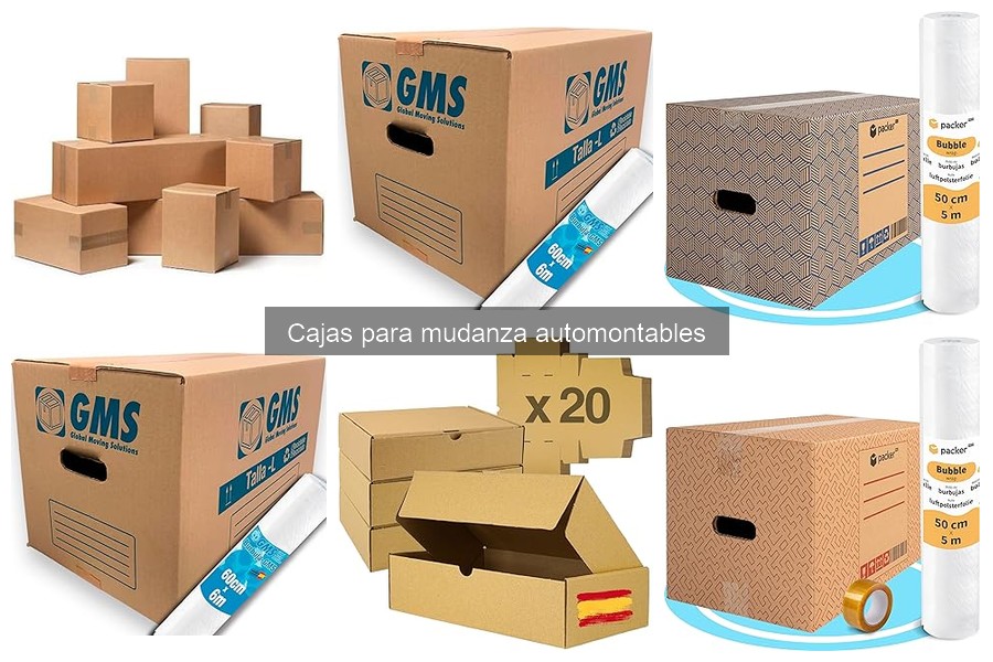 Ventajas y desventajas de las cajas para mudanza automontables